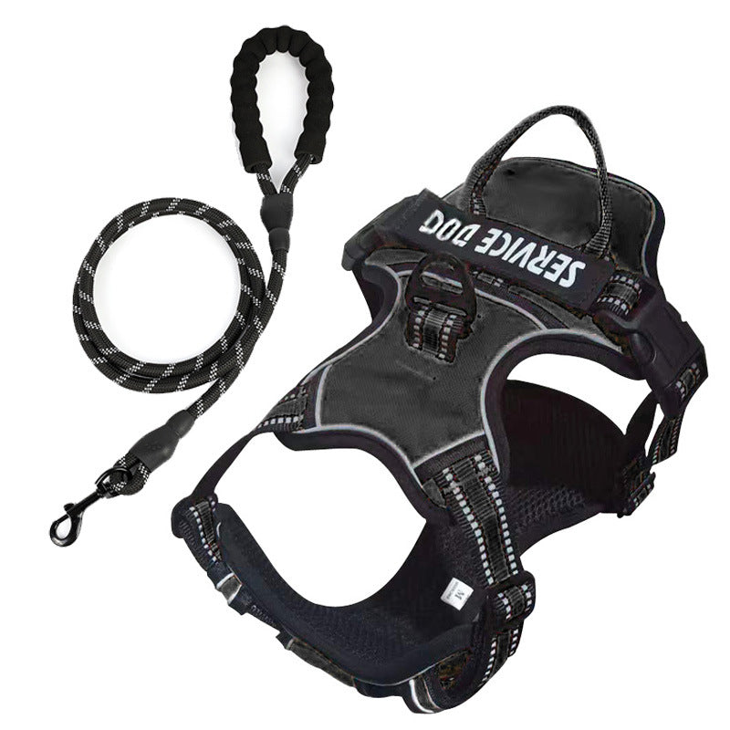 pet collar – 13