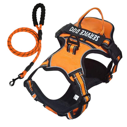 pet collar – 14