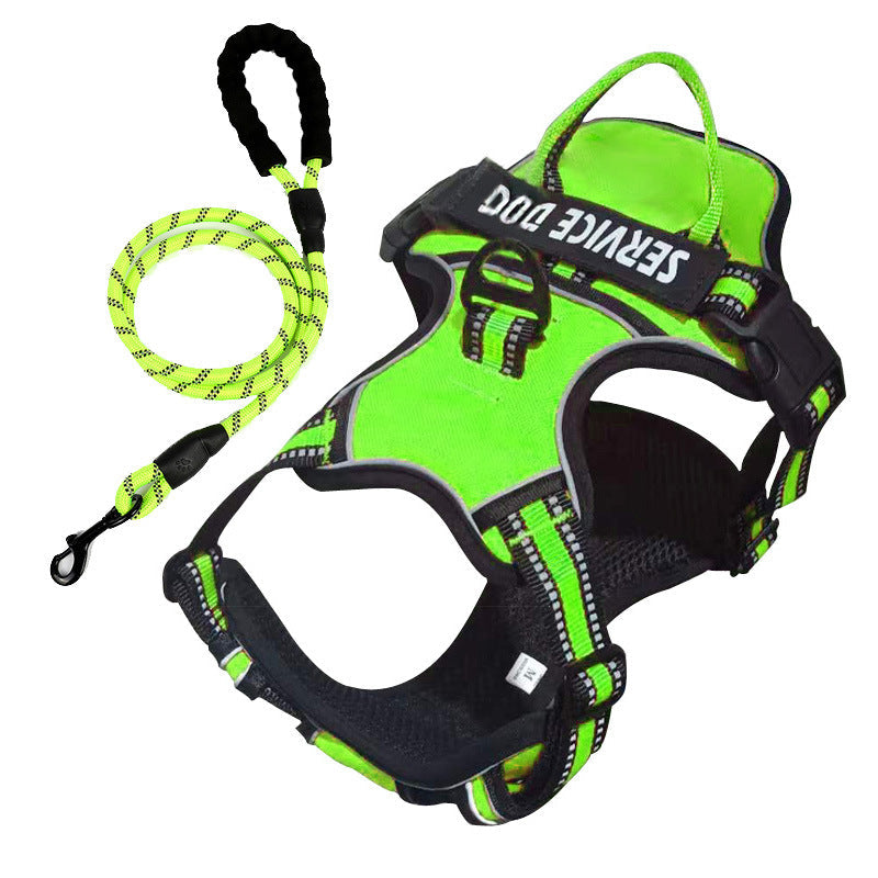 pet collar – 15