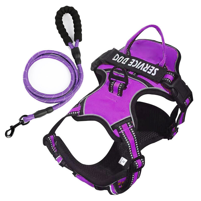 pet collar – 16