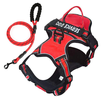 pet collar – 17