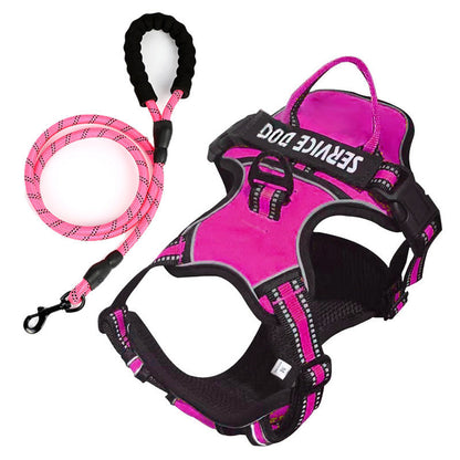 pet collar – 18
