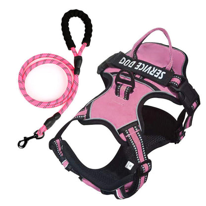 pet collar – 19