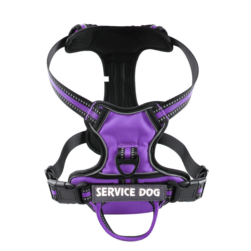 pet collar – 8