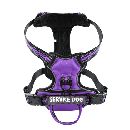 pet collar – 8