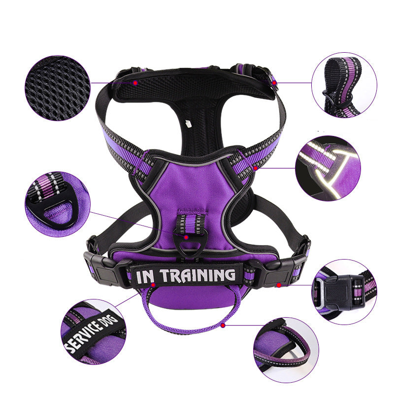 pet collar