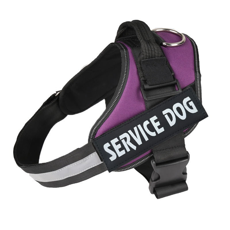 pet collar – 2
