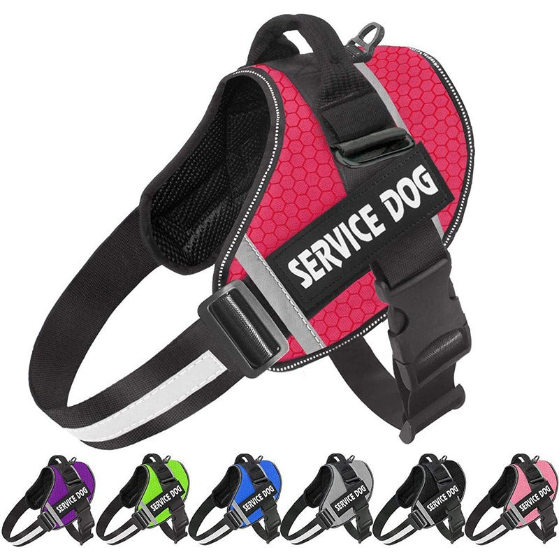 pet collar – 3