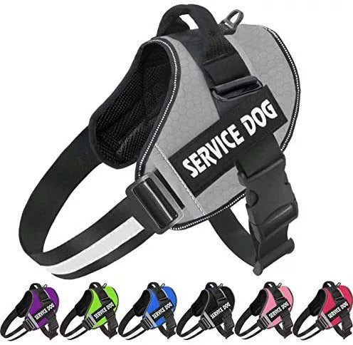 pet collar – 4