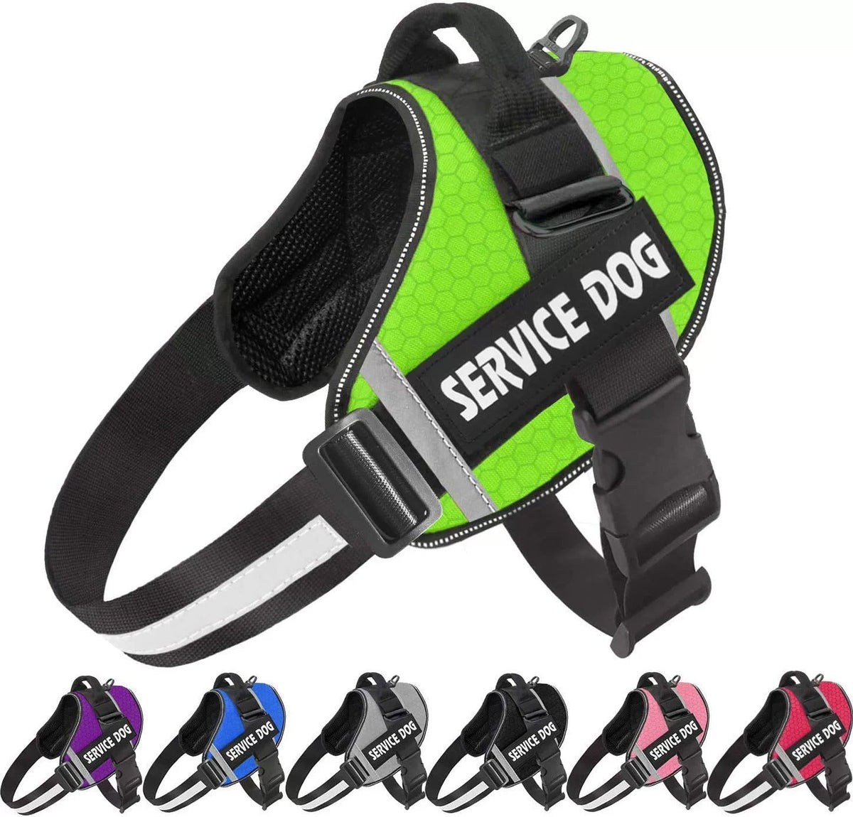 pet collar – 5