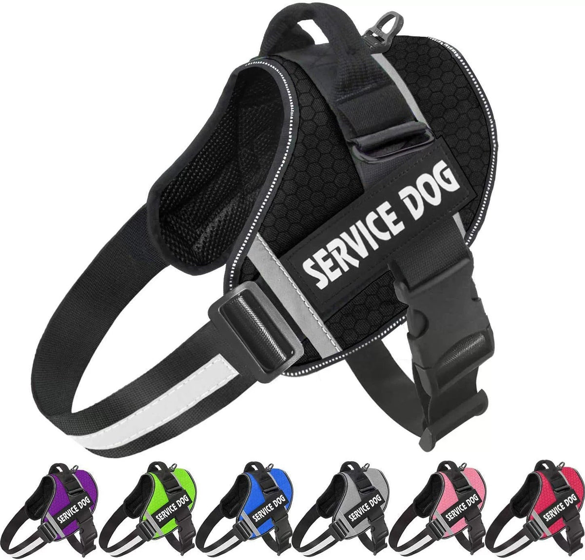pet collar – 6