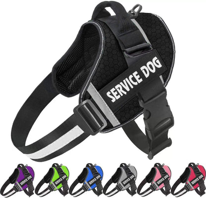 pet collar – 6