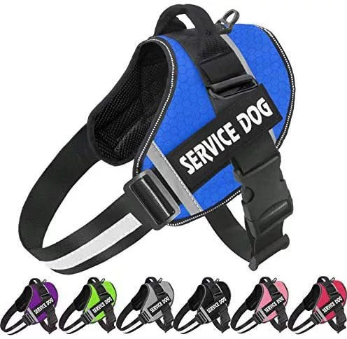 pet collar – 7