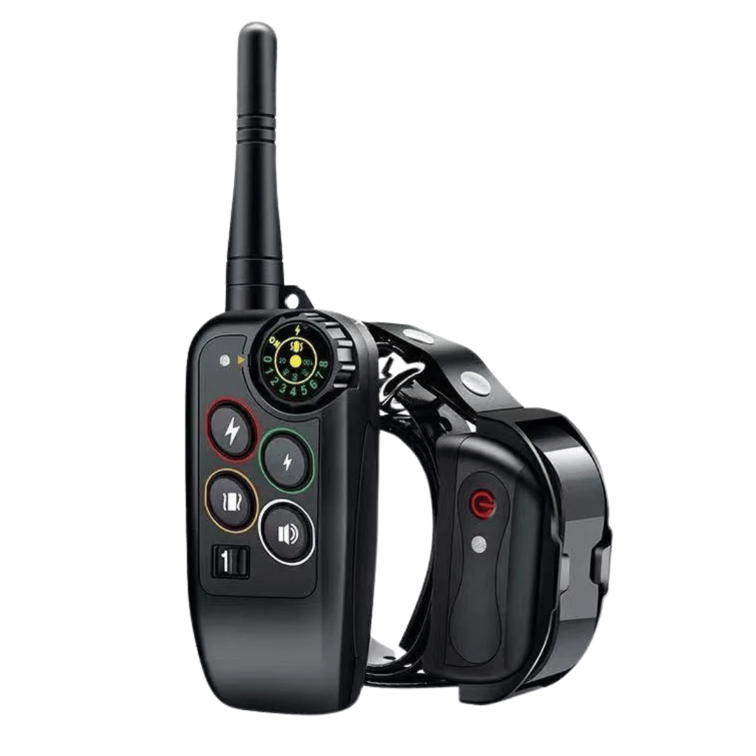 pet collar – 2