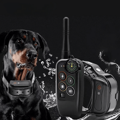 pet collar – 3