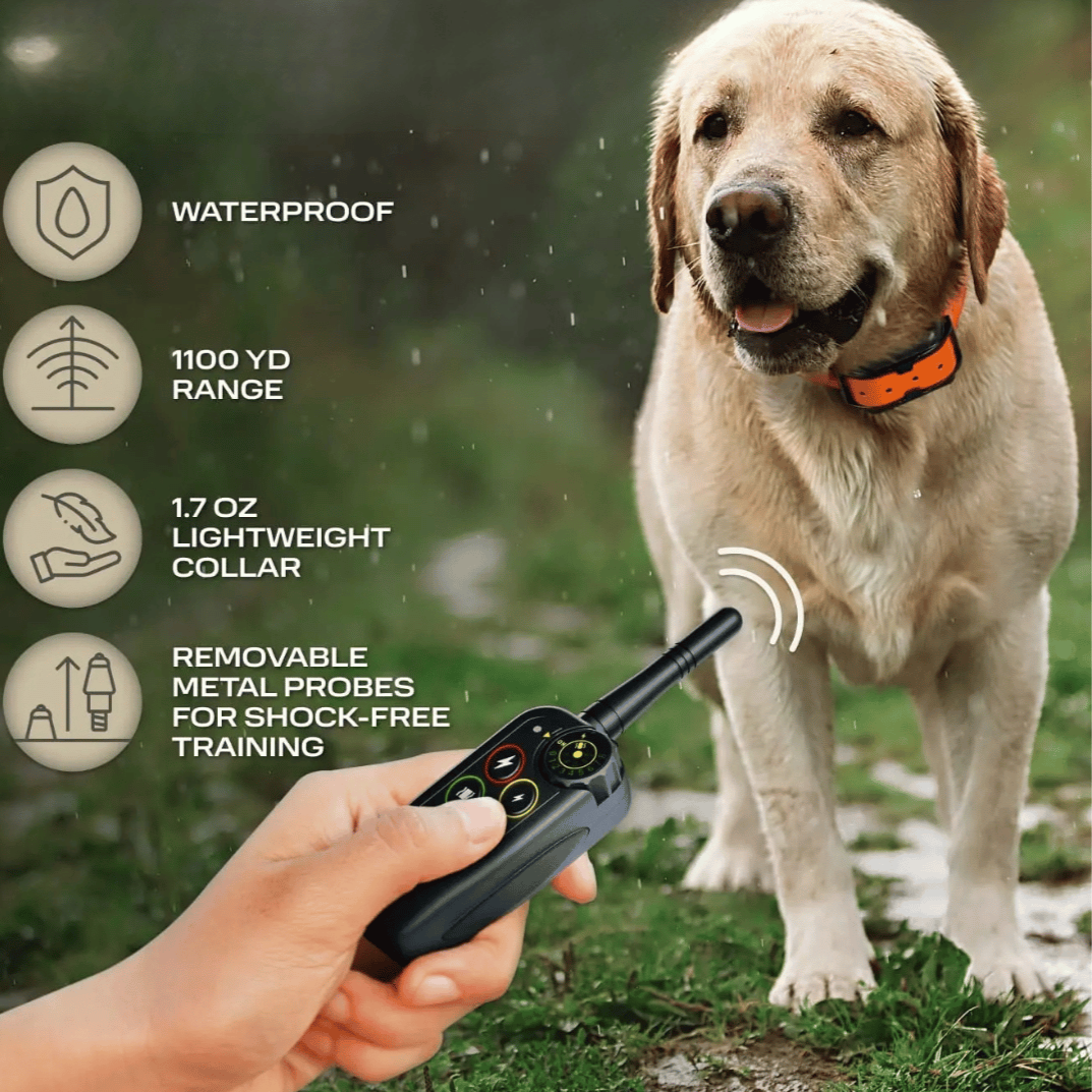 pet collar – 7