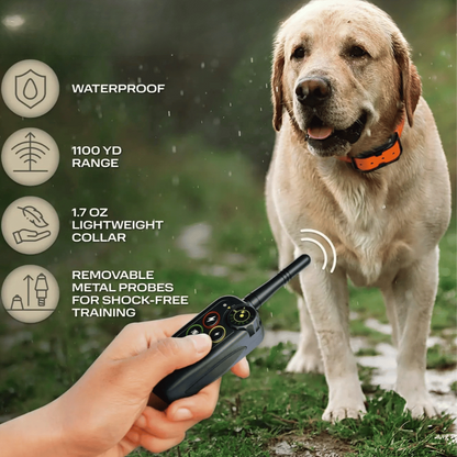 pet collar – 7