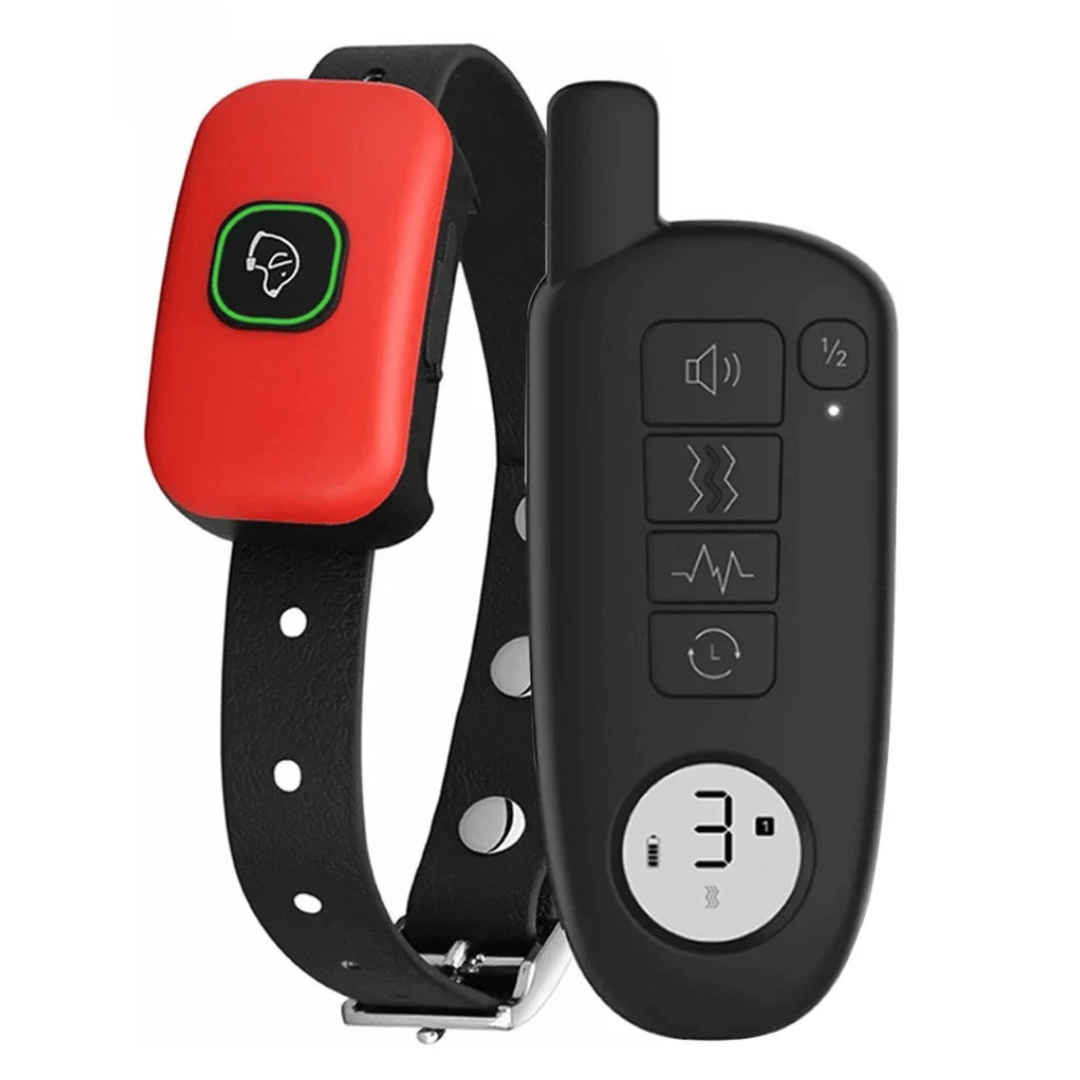 pet collar – 5