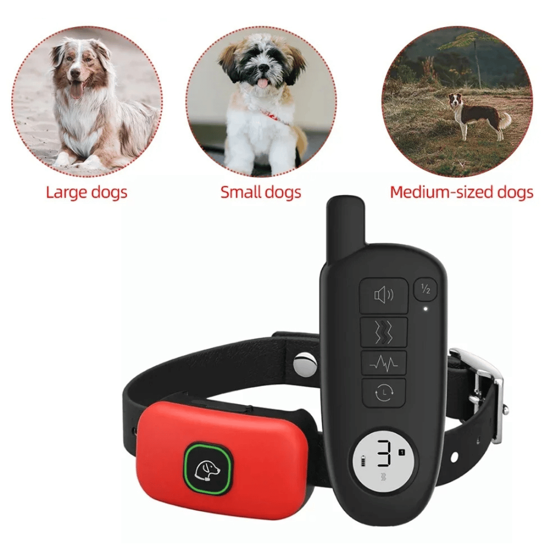 pet collar – 6