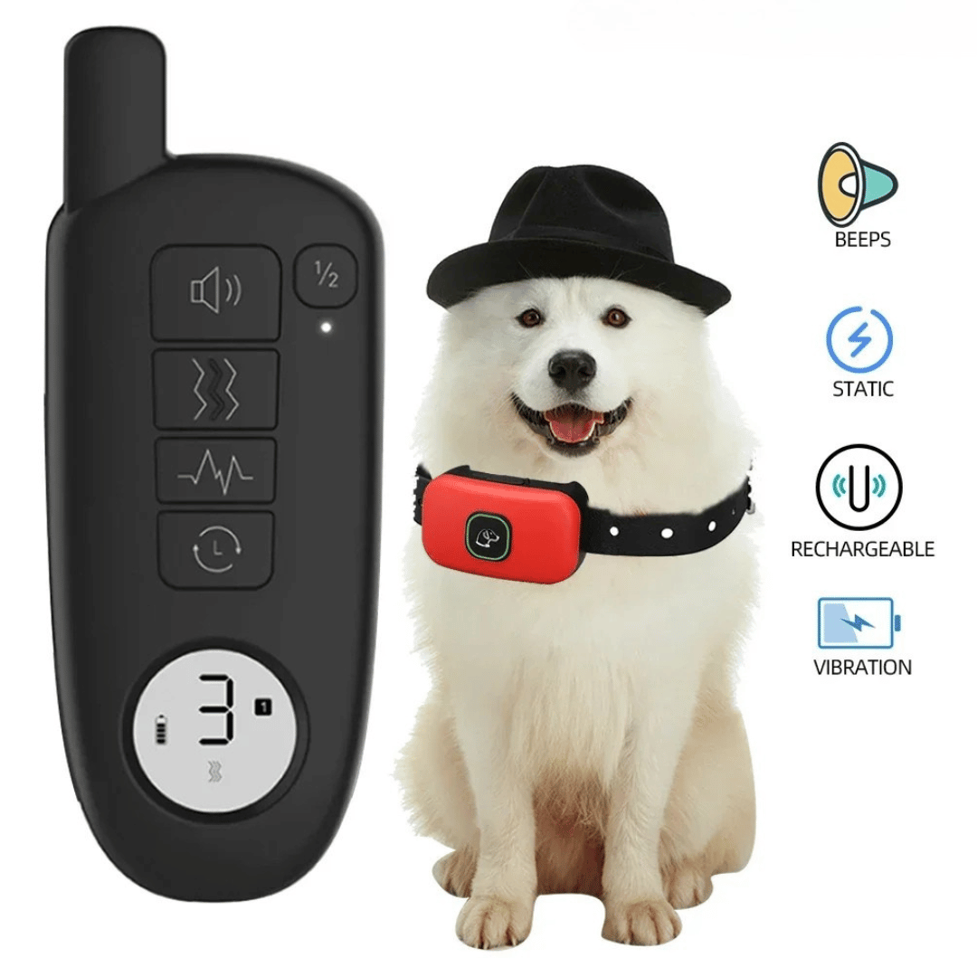 pet collar – 7