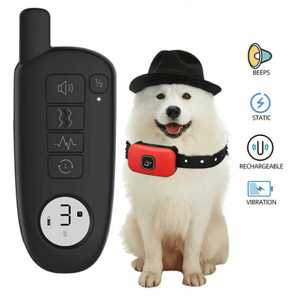 pet collar – 7