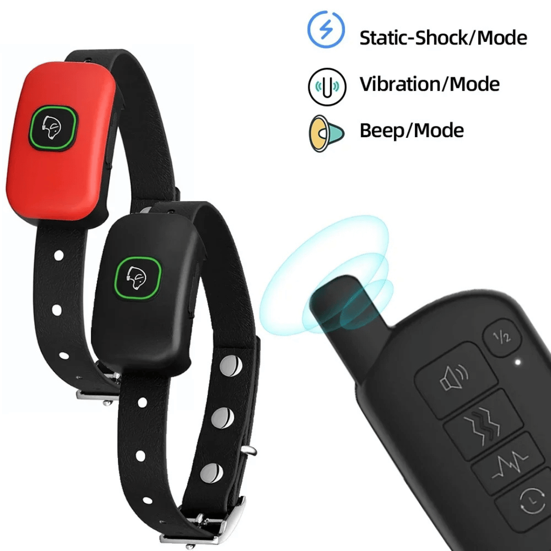 pet collar – 8