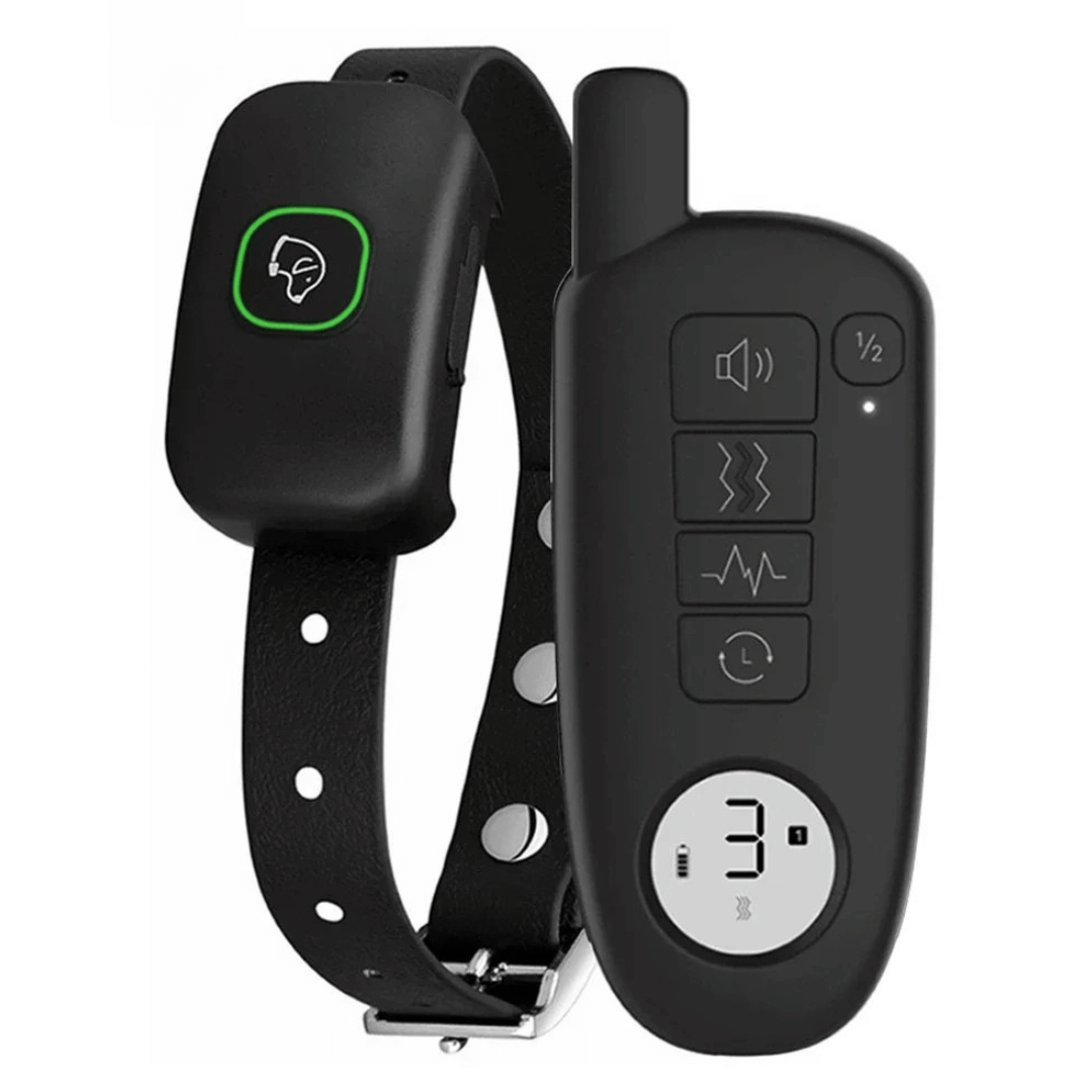 pet collar