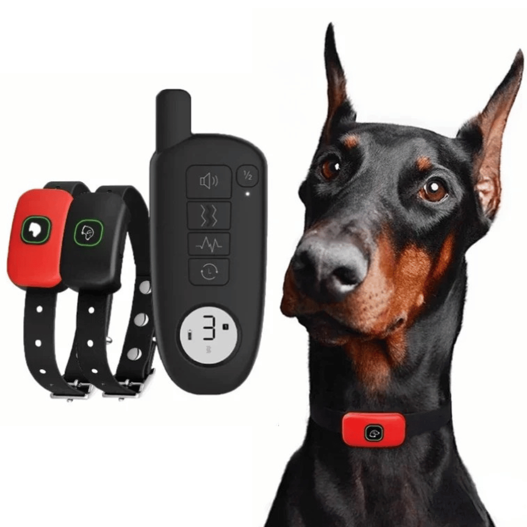 pet collar
