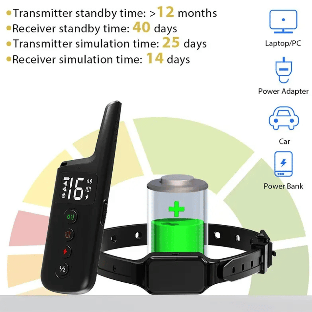 pet collar – 4
