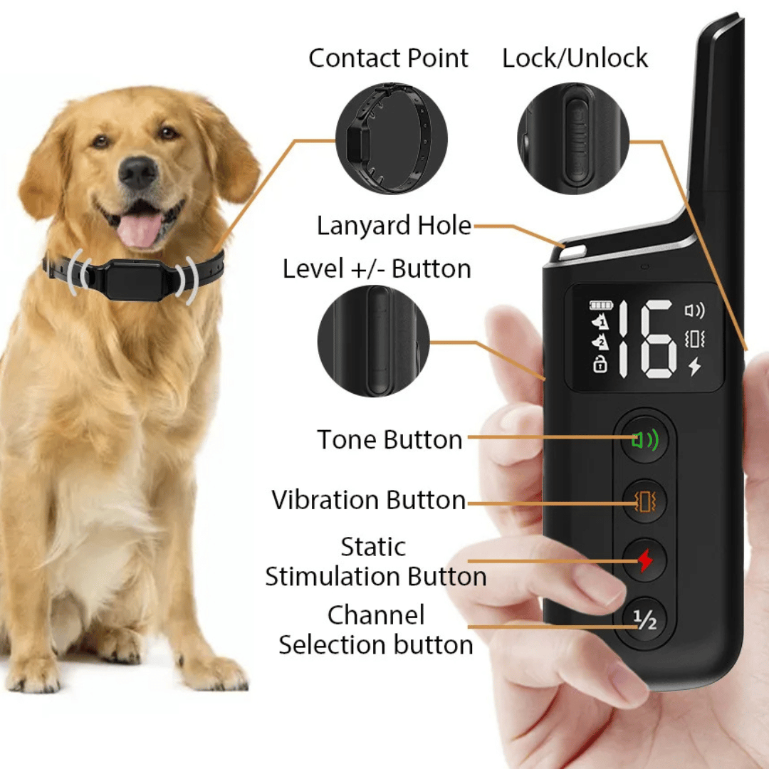 pet collar – 5