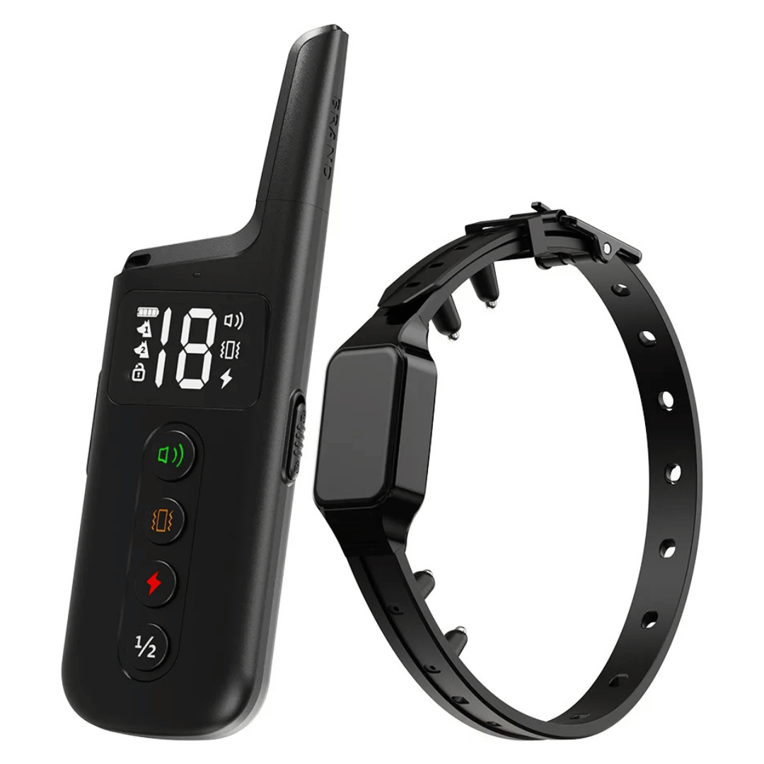 pet collar