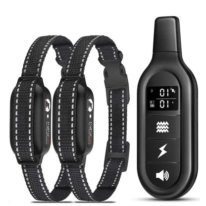 pet collar