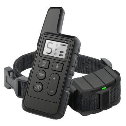 pet collar