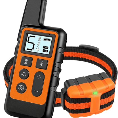 pet collar – 2