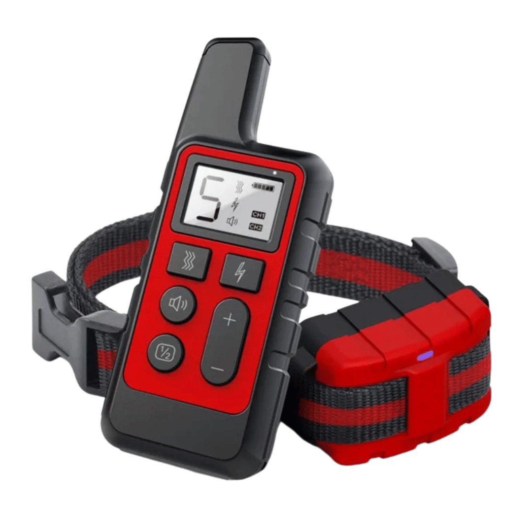 pet collar – 3