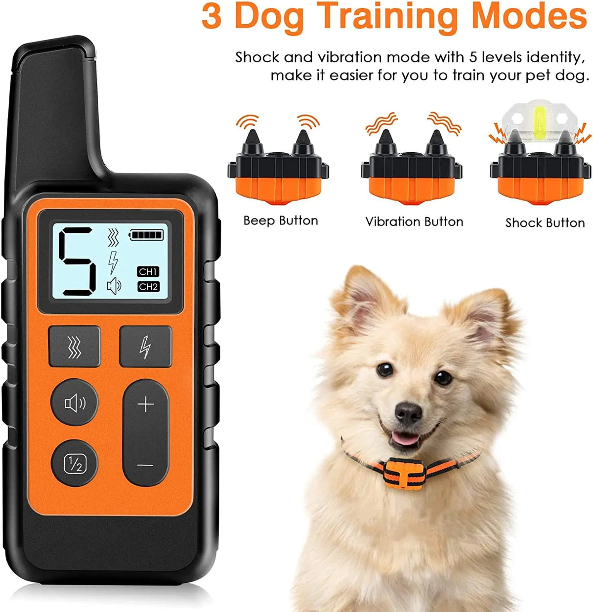 pet collar – 6