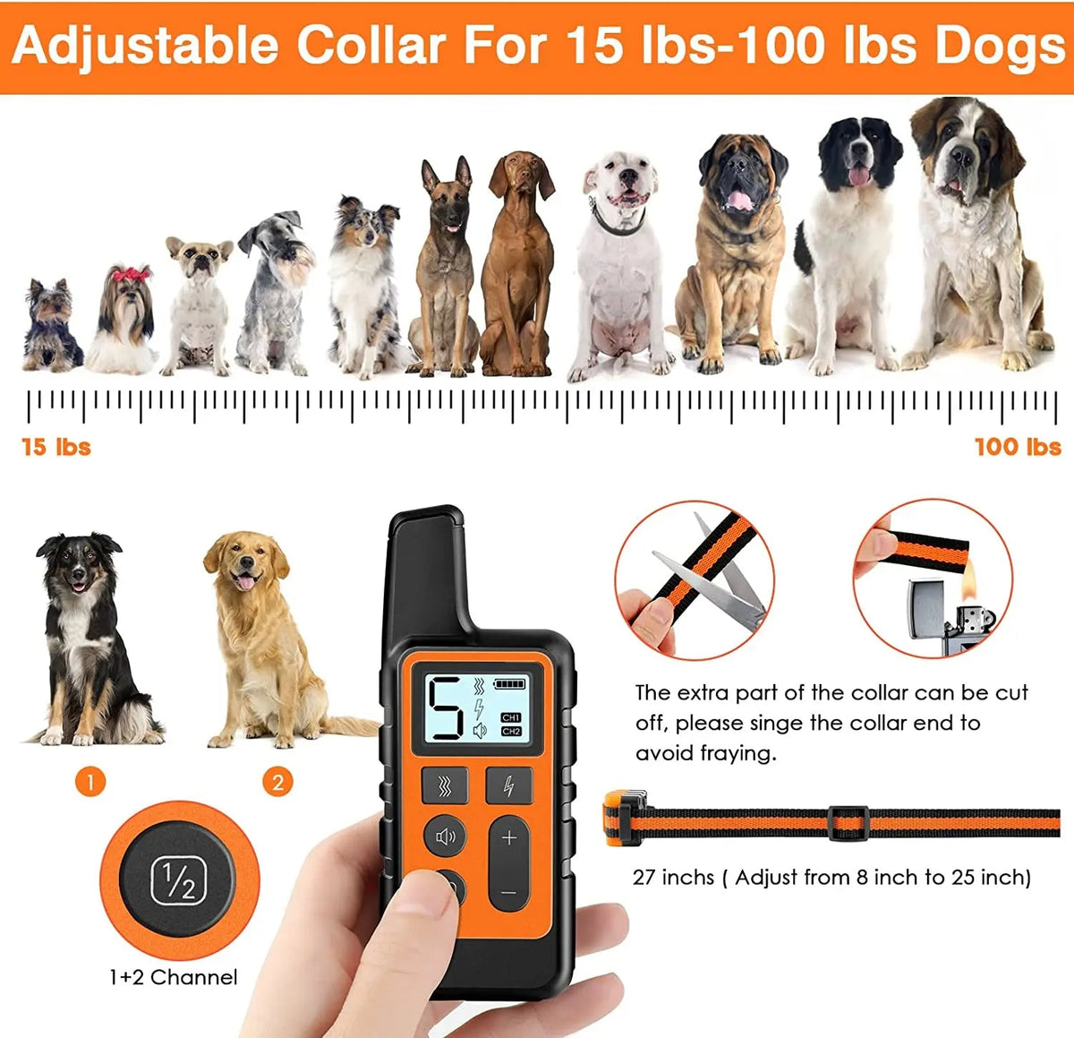 pet collar – 8