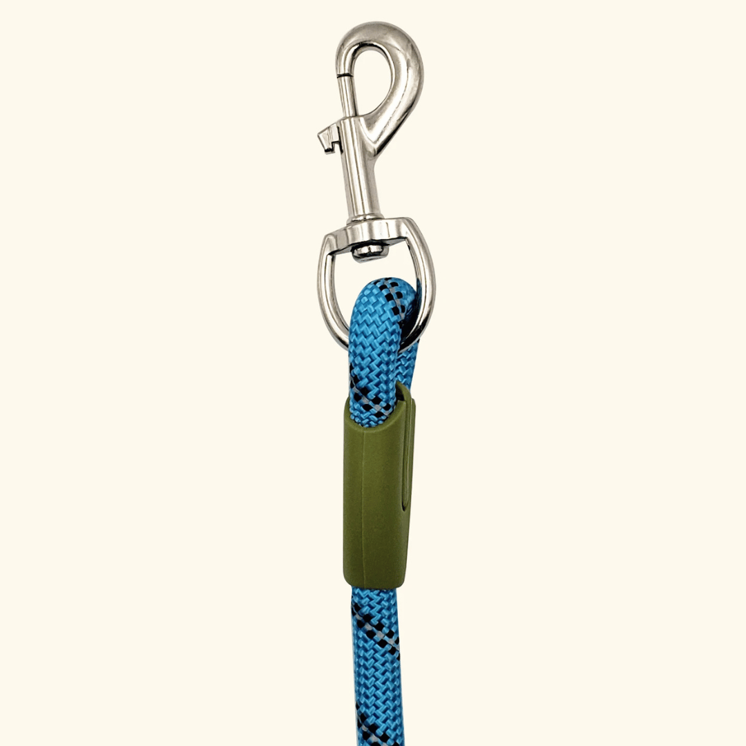 pet collar – 11