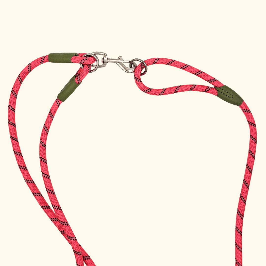 pet collar – 14