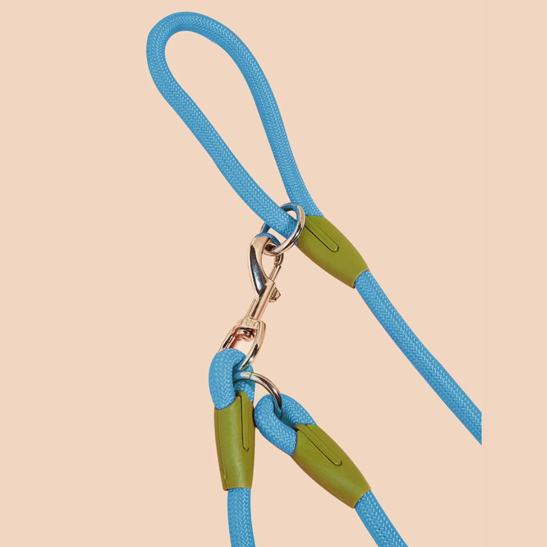 pet collar – 16