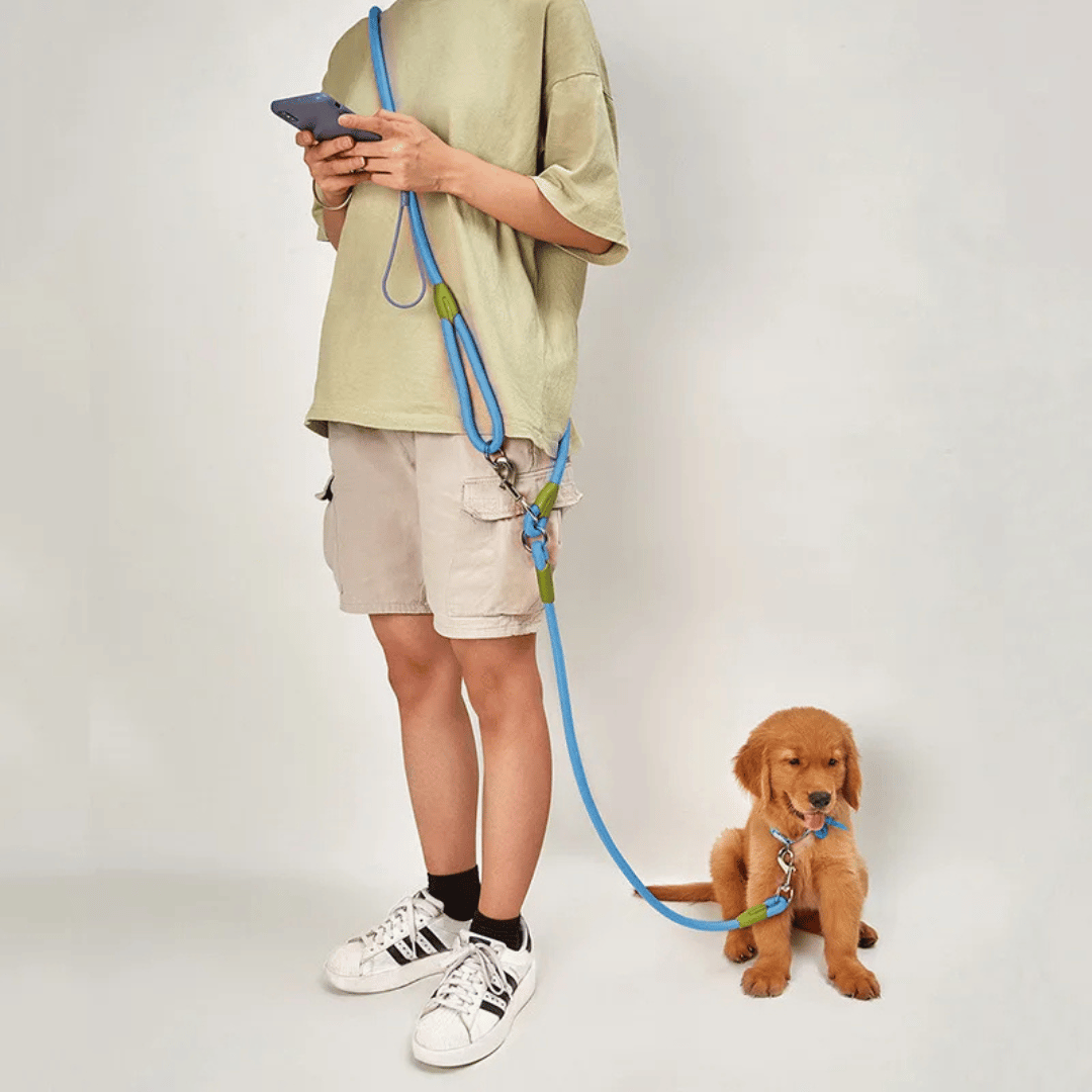 pet collar – 2