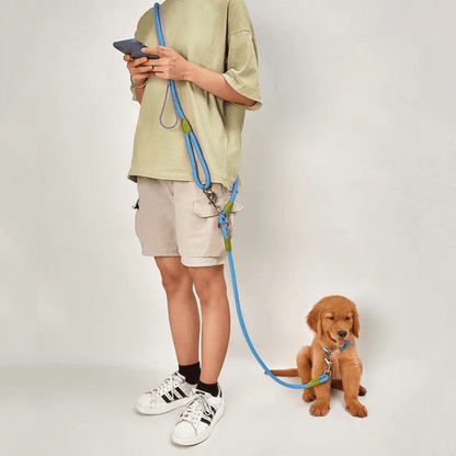 pet collar – 2