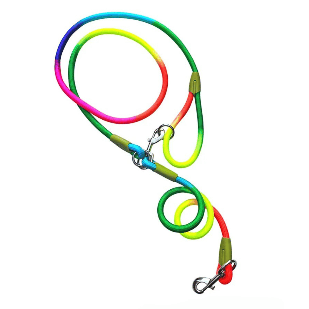 pet collar – 4