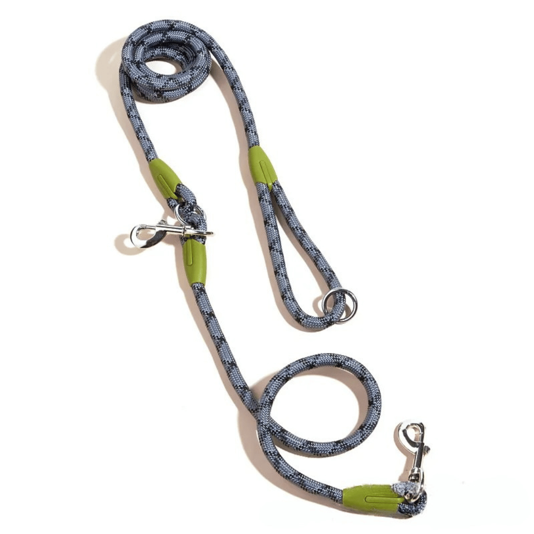 pet collar – 7