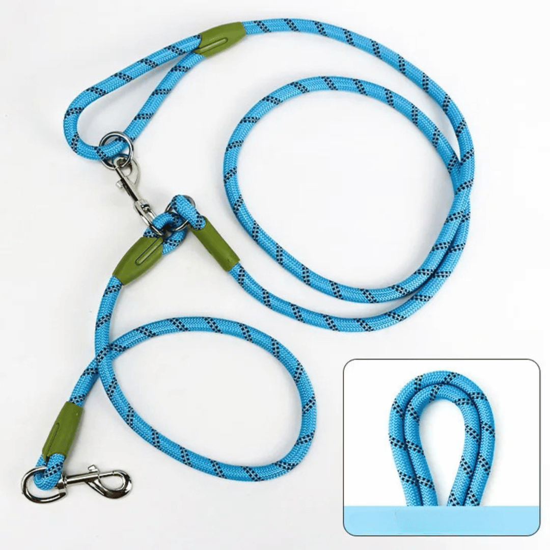 pet collar – 9