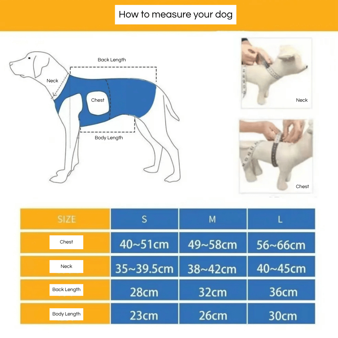 pet collar – 15