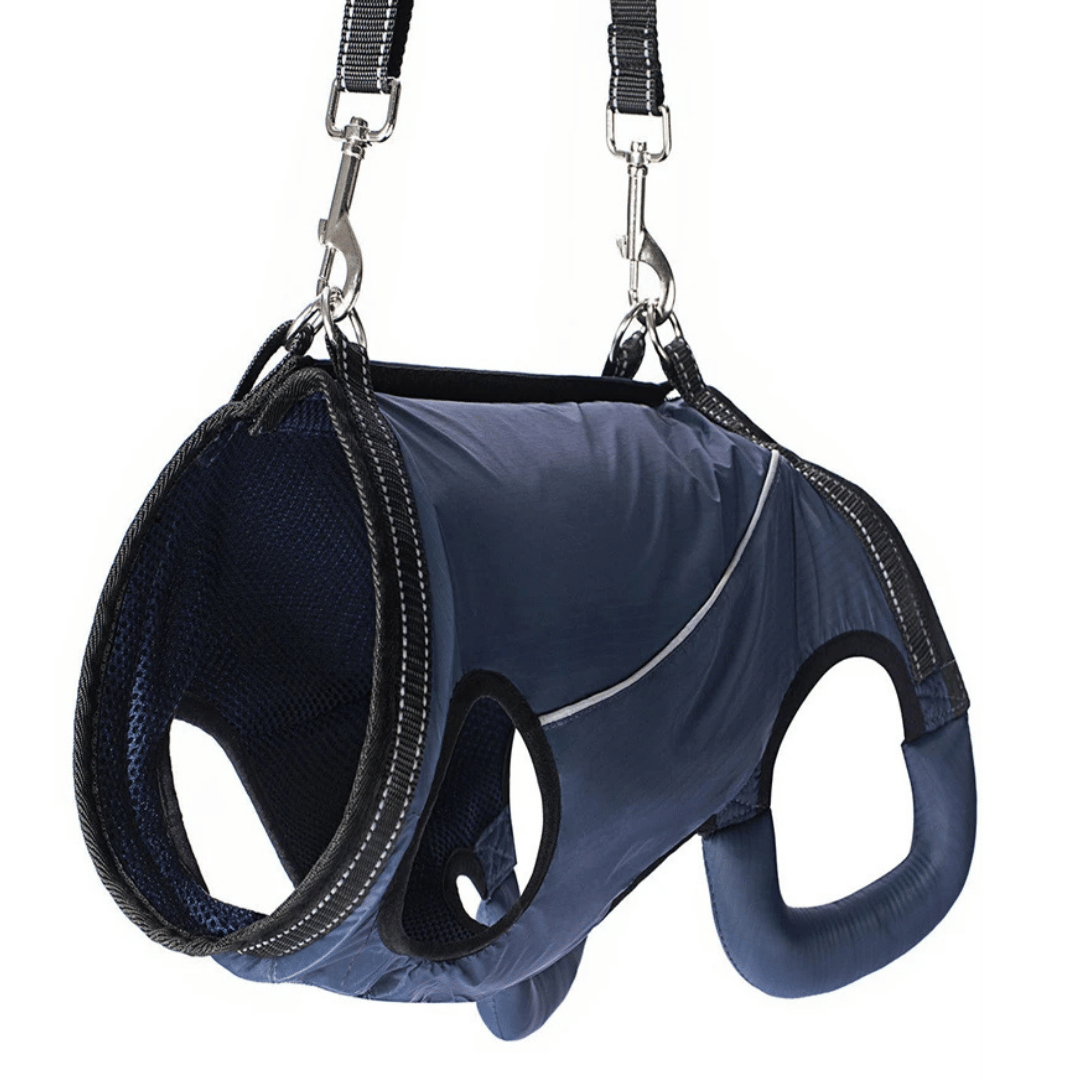 pet collar – 16