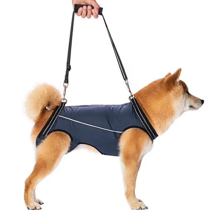 pet collar – 2