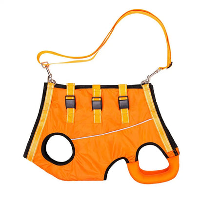 pet collar – 3