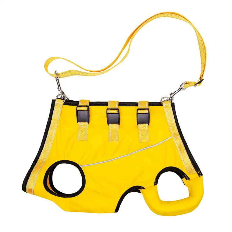 pet collar – 5
